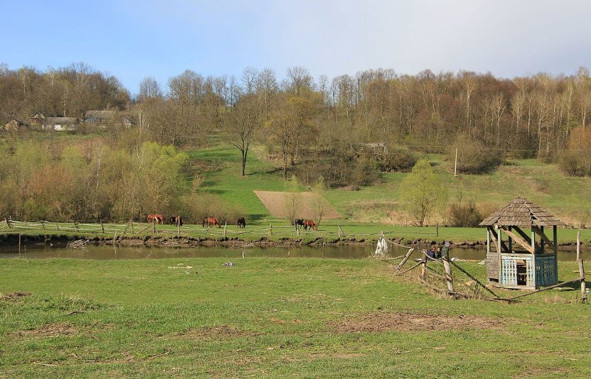 Staryi Oleksynets Castle, Staryi Oleksynets', Ternopil Oblast, Ukraine, Ukraine